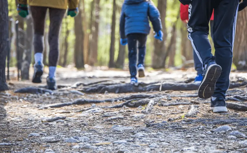 Group of people walking along a forest trail, symbolizing the journey of tracing the roots of fear and failure back to childhood experiences